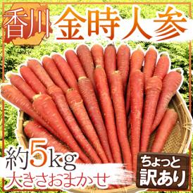 ”香川県 金時人参” ちょっと訳あり 約5kg 大きさおまかせ【予約 11月下旬以降】 送料無料