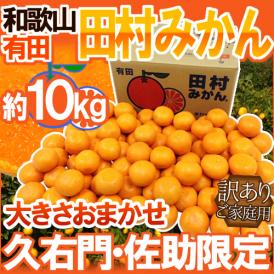 和歌山有田産 ”田村みかん” 生産者限定 訳あり 約10kg 大きさおまかせ 産地箱 「久右門」「佐助」限定【予約 11月末以降】 送料無料