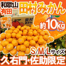 和歌山有田産 ”田村みかん” 秀品 S/M/Lサイズ 約10kg 産地箱 「久右門」「佐助」限定【予約 11月末以降】 送料無料