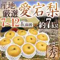 ”愛宕梨” 秀品 超大玉7～12玉前後 約7kg 産地厳選 あたご梨【予約 11月末以降】 送料無料