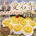 ”愛宕梨” 訳あり 約7kg 大きさおまかせ 産地厳選 あたご梨【予約 11月末以降】 送料無料