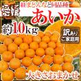 ”愛媛産 紅まどんなと同じ品種 あいか” 訳あり 約10kg 大きさおまかせ【予約 11月末以降】 送料無料