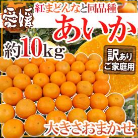 ”愛媛産 紅まどんなと同じ品種 あいか” 訳あり 約10kg 大きさおまかせ【予約 11月末以降】 送料無料