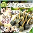 ”埼玉県 くわい” Sサイズ 約200g前後【予約 12月以降】