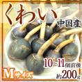 ”中国産 くわい” Mサイズ 約200g【予約 12月以降】