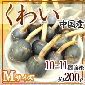 ”中国産 くわい” Mサイズ 約200g【予約 12月以降】