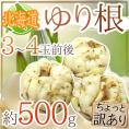 ”北海道産 ゆり根” ちょっと訳あり 3～4玉 約500g ゆりね【予約 11月下旬以降】
