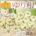 ”北海道産 ゆり根” ちょっと訳あり 10～20玉 約2kg ゆりね【予約 11月下旬以降】 送料無料