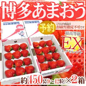 福岡産いちご ”博多あまおう” 最高等級EX（エクセレント） 2箱（1箱あたり9～12粒 約450g）【予約 2月中旬以降】 送料無料