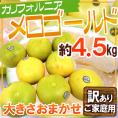 ”カリフォルニア産 メロゴールド” 訳あり 約4.5kg 大きさおまかせ【予約 11月末以降】 送料無料