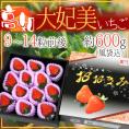 高知県 ”大妃美いちご(おおきみ)” 大粒9~14粒前後 風袋込約600g 化粧箱【予約 1月下旬以降】 送料無料