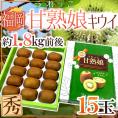 福岡県 八女産 ”甘熟娘（うれっこ）キウイ” 秀品 15玉 約1.8kg前後 化粧箱【予約 12月中旬以降】