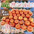 青森産 ”サンふじりんご” 訳あり 約10kg 大きさおまかせ【予約 12月以降】 送料無料