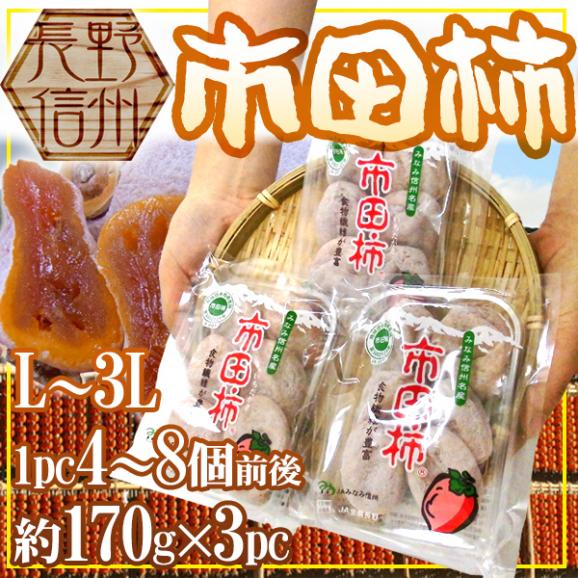 長野県産市田柿170gパック30パック入り むっちり甘い干し柿！市田柿170g×4パック2L玉：長野県産の市田柿