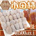 ”長野・南信州産 市田柿 約500g以上” L~3L【ポスト投函送料無料】【予約 12月中旬以降】