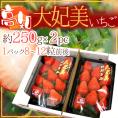 高知県 ”大妃美いちご（おおきみ）” 大粒2L/3L 8～12粒前後 約250g×2pc【予約 1月下旬以降】 送料無料