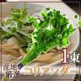 産地厳選 ”コリアンダー” 1束