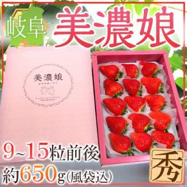 岐阜産 ”美濃娘（みのむすめ）” 9～15粒前後 約650g（風袋込） 化粧箱 いちご【予約 1月下旬以降】 送料無料