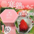愛知・ファームトヨヒロ産 ”寒熟いちご(完熟イチゴ)” 1粒 約60g前後 化粧箱【予約 2月以降】