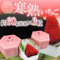 愛知・ファームトヨヒロ産 ”寒熟いちご（完熟イチゴ）” 3粒（1粒約60g前後） 化粧箱【予約 2月以降】 送料無料