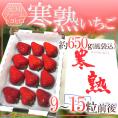 愛知・ファームトヨヒロ産 ”寒熟いちご（完熟イチゴ）” 9～15粒前後 風袋込約650g 化粧箱【予約 2月以降】 送料無料