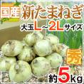 ”新たまねぎ” 秀品 L/2Lサイズ 約5kg 九州・四国・淡路・北海道 産地厳選【予約 3月下旬以降】 送料無料