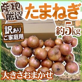 ”たまねぎ” 訳あり 約5kg 九州・四国・淡路・北海道 産地厳選【予約 入荷次第発送】 送料無料