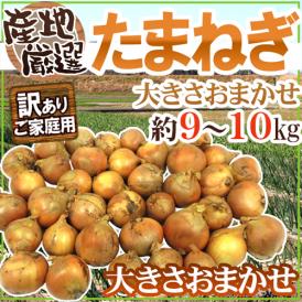 ”たまねぎ” 訳あり 約9～10kg 大きさおまかせ 検品なし 九州・四国・淡路・北海道 産地厳選 【予約 入荷次第発送】 送料無料