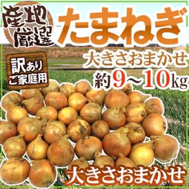 ”たまねぎ” 訳あり 約9～10kg 大きさおまかせ 検品なし 九州・四国・淡路・北海道 産地厳選 送料無料