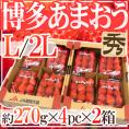 福岡産いちご ”博多あまおう” 秀品 L/2Lサイズ 約270g×4パック×《2箱》【予約 12月以降】 送料無料