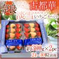 奈良県産 ”白いちご 淡雪いちご＋古都華いちご 二色いちご紅白セット” 2pc（1pcあたり12～15粒 約300g）【予約 12月～1月以降】 送料無料