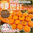 ”佐賀産 はまさきになれなかった 麗紅” 訳あり 約3kg 大きさおまかせ【予約 2月以降】 送料無料