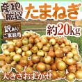 ”たまねぎ” 訳あり 約20kg 九州・四国・淡路・北海道 産地厳選【予約 入荷次第発送】 送料無料