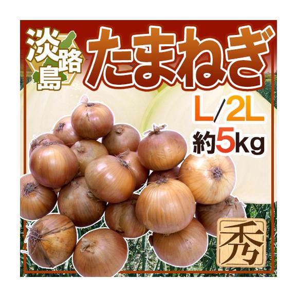 &rdquo;兵庫県 淡路島産 たまねぎ&rdquo; 秀品 L/2L 約5kg【予約 入荷次第発送】 送料無料01