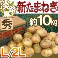 ”兵庫県 淡路島産 新たまねぎ” 秀品 L/2L 約10kg【予約 4月末以降】 送料無料