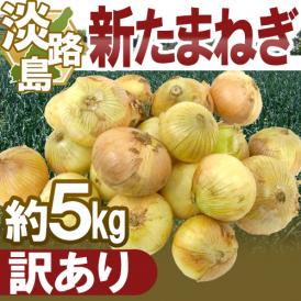 ”兵庫県 淡路島産 新たまねぎ” 訳あり 約5kg【予約 4月末以降】 送料無料