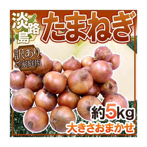 &rdquo;兵庫県 淡路島産 たまねぎ&rdquo; 訳あり 約5kg【予約 入荷次第発送】 送料無料01