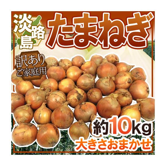 &rdquo;兵庫県 淡路島産 たまねぎ&rdquo; 訳あり 約10kg【予約 入荷次第発送】 送料無料01