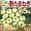 ”兵庫県 淡路島産 新たまねぎ” 秀品 L/2L 約5kg【予約 4月末以降】 送料無料