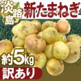 ”兵庫県 淡路島産 新たまねぎ” 訳あり 約5kg【予約 4月末以降】 送料無料