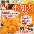 ”有田産 不知火・しらぬい（訳ありデコポン）” 約2kg 大きさおまかせ《2セット購入で送料無料＋1kgおまけ、3セット購入で4kgおまけ》【予約 2月下旬以降】