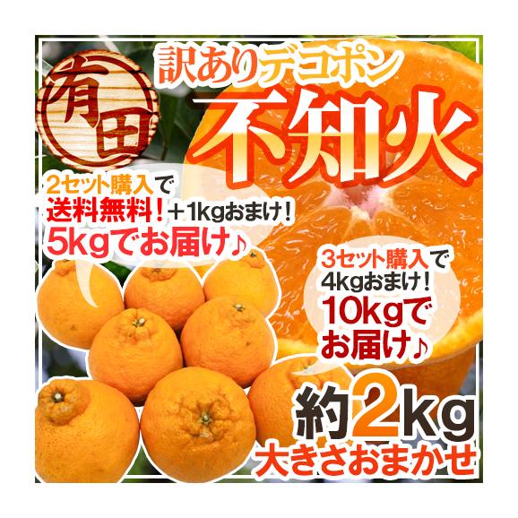 殿堂 有田産 大きさ 約2kg 不知火・しらぬい（訳ありデコポン）” 果物