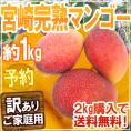 ”宮崎完熟マンゴー” 訳あり 2～4玉 約1kg《2キロ以上ご購入で送料無料》 宮崎マンゴー【予約 6月下旬以降】