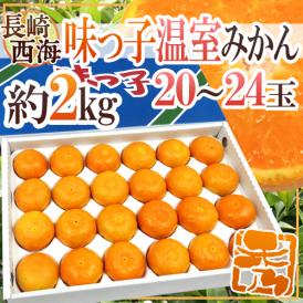 長崎県 西海産 ”温室 味っ子みかん” 20～24玉 約2kg 化粧箱【予約 2月下旬以降】 送料無料