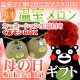 母の日ギフト ”マスクメロン&カーネーション生花” くまモン化粧箱 2玉 約3kg以上 熊本産【予約 5月2日~5月10日お届け予定】 送料無料
