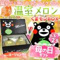 母の日ギフト ”マスクメロン” くまモン化粧箱 2玉 約3kg以上 カーネーション造花 熊本産【予約 5月2日~5月10日お届け予定】 送料無料