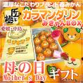 母の日ギフト ”中島 カラマンダリン匠と極&カーネーション生花” 《みきゃん》化粧箱 12~15玉 約1.2kg【予約 5月2日~5月10日お届け予定】 送料無料