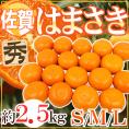 ”佐賀産 はまさき” 秀品 S/M/L 約2.5kg バラ詰め 麗紅【予約 2月以降】 送料無料