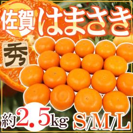 ”佐賀産 はまさき” 秀品 S/M/L 約2.5kg バラ詰め 麗紅【予約 2月以降】 送料無料