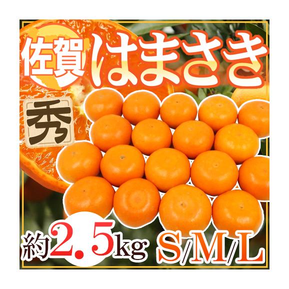 公式限定 福袋 - 公式通販オンラインショップ せとかの商品一覧｜通販・お取り寄せ・販売【ぐるすぐり】 果物